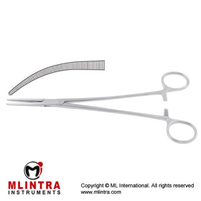 Heiss Haemostatic Forceps Gently Curved Stainless Steel, 20.5 cm - 8"